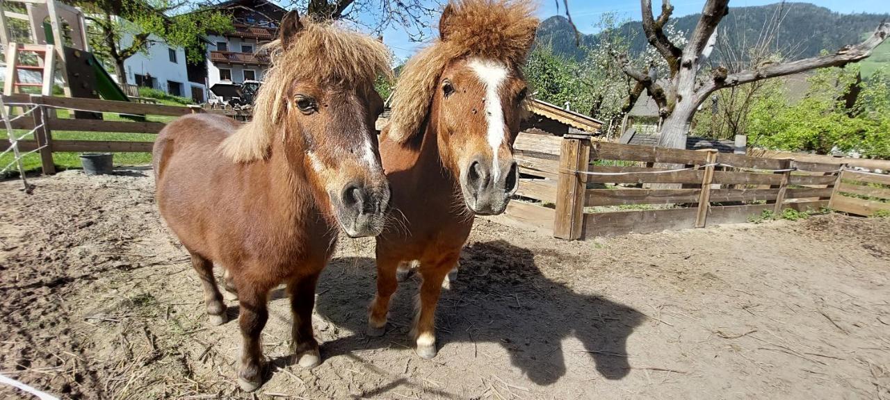Brixnerhof Im Zillertal Schlitters Exterior foto