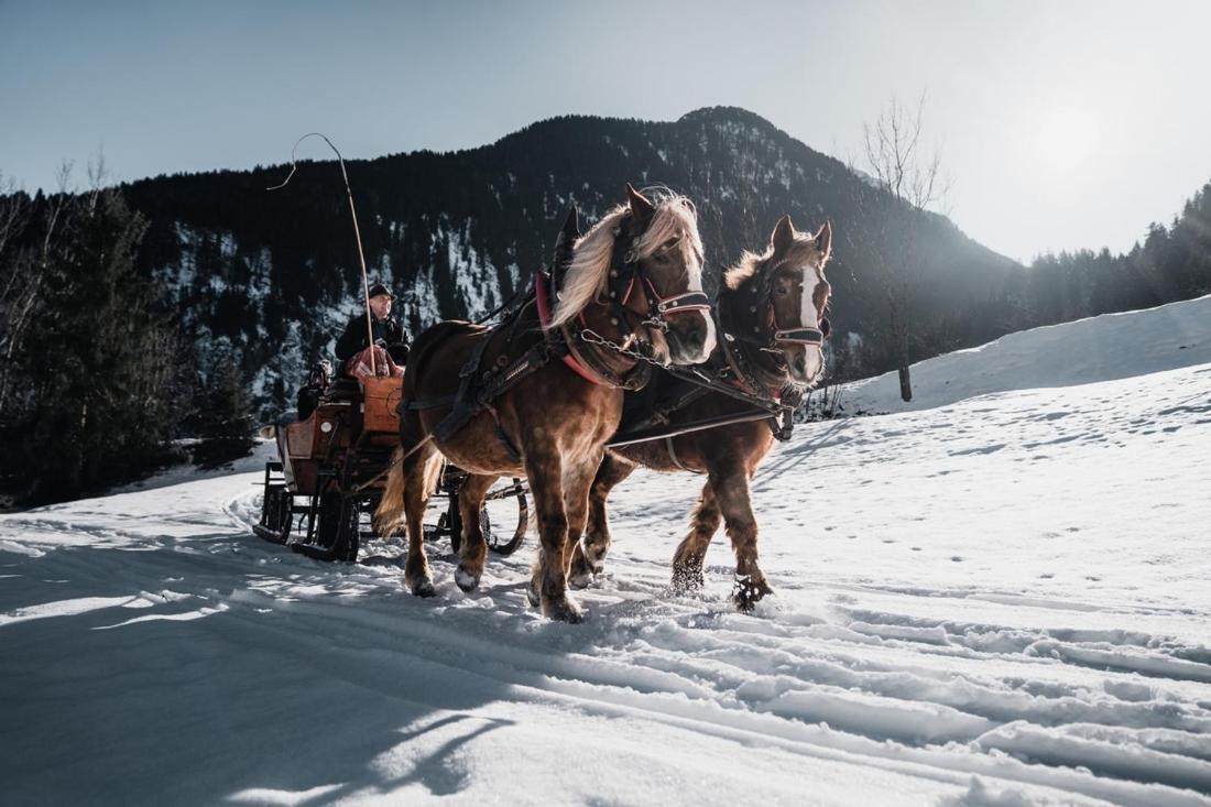 Brixnerhof Im Zillertal Schlitters Exterior foto